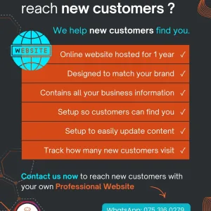 Professional Website